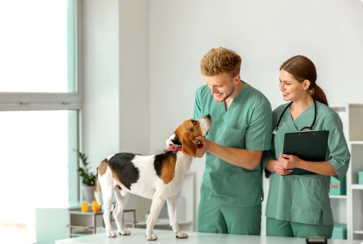 volition-veterinarians-3