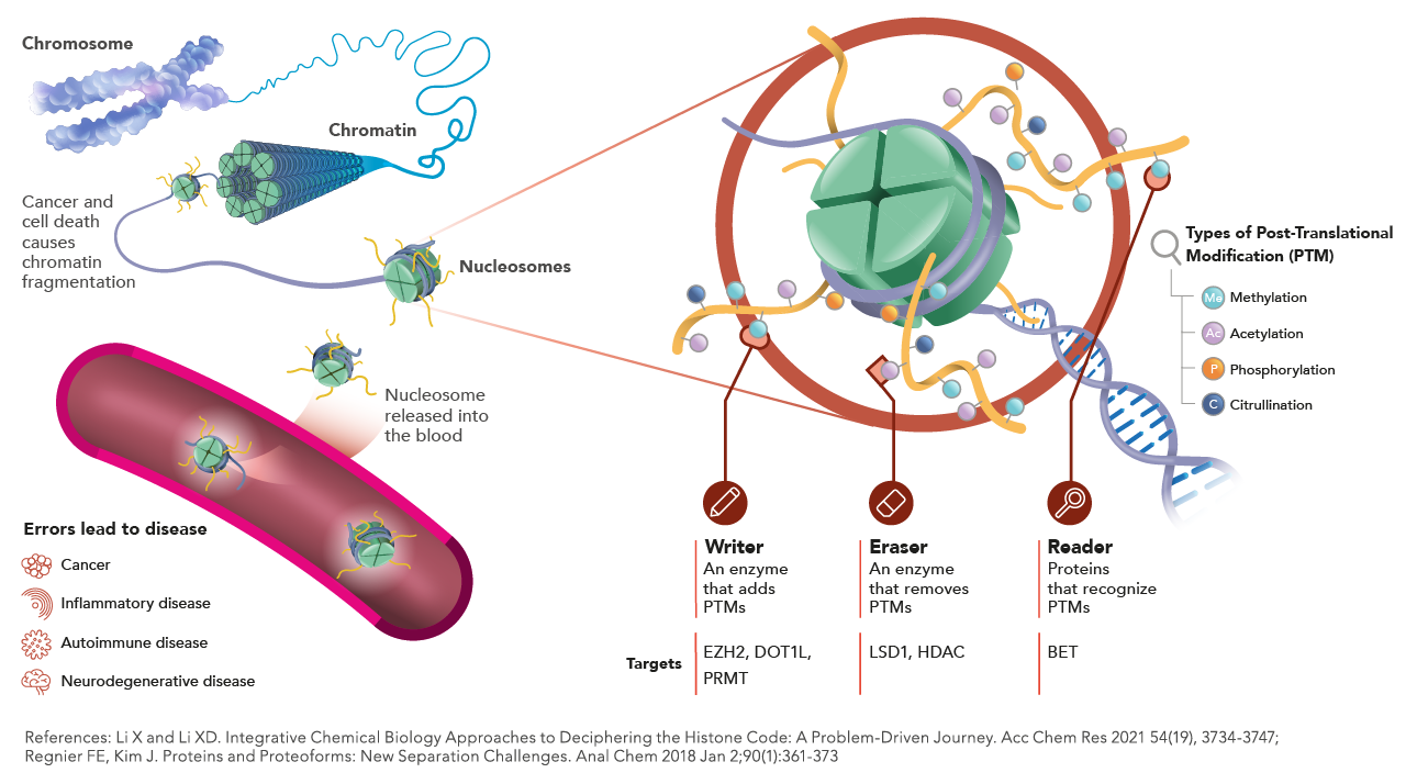 Epigenetic-Masters-Print_RGB_FULL