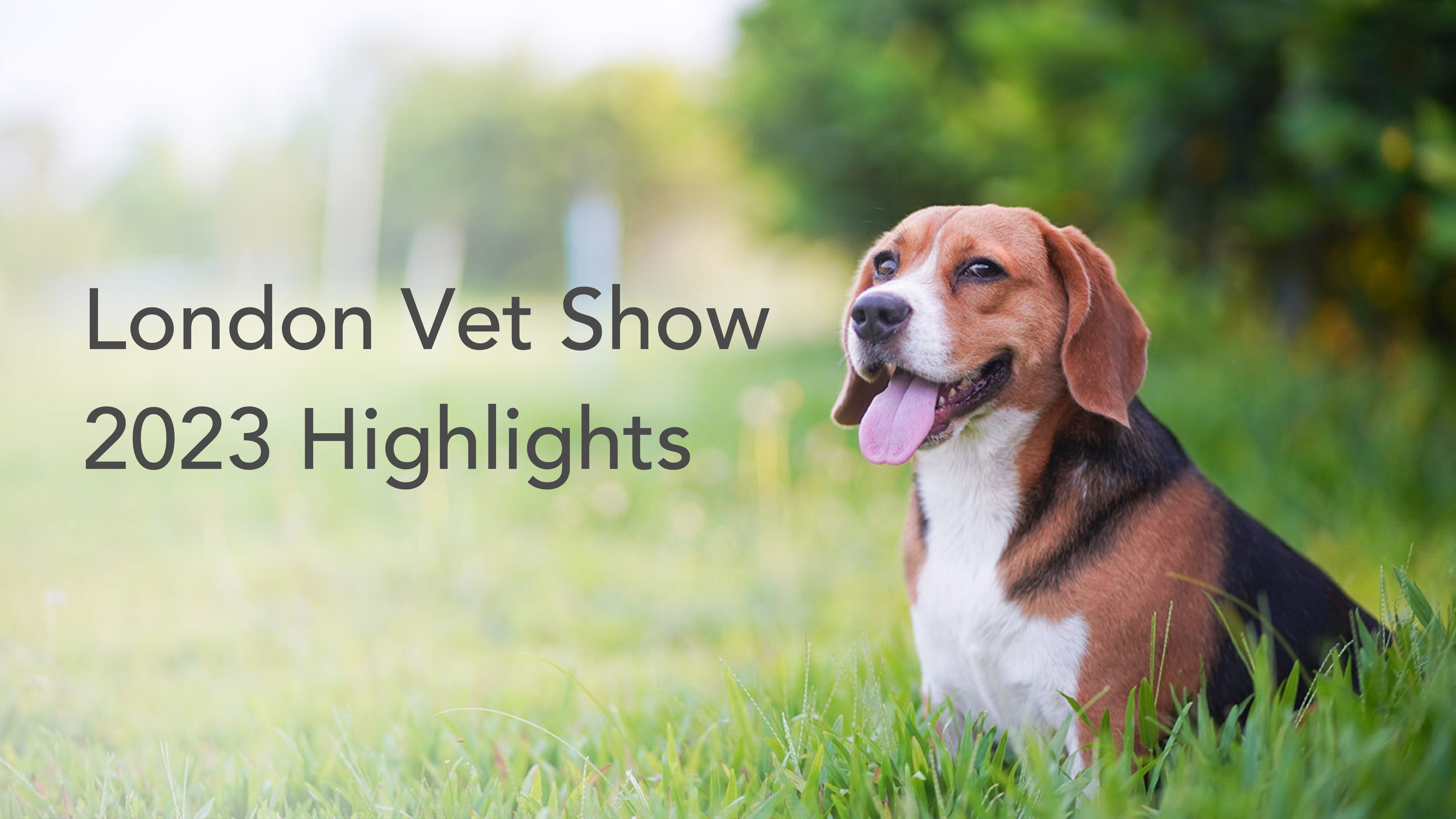 London Vet Show 2023