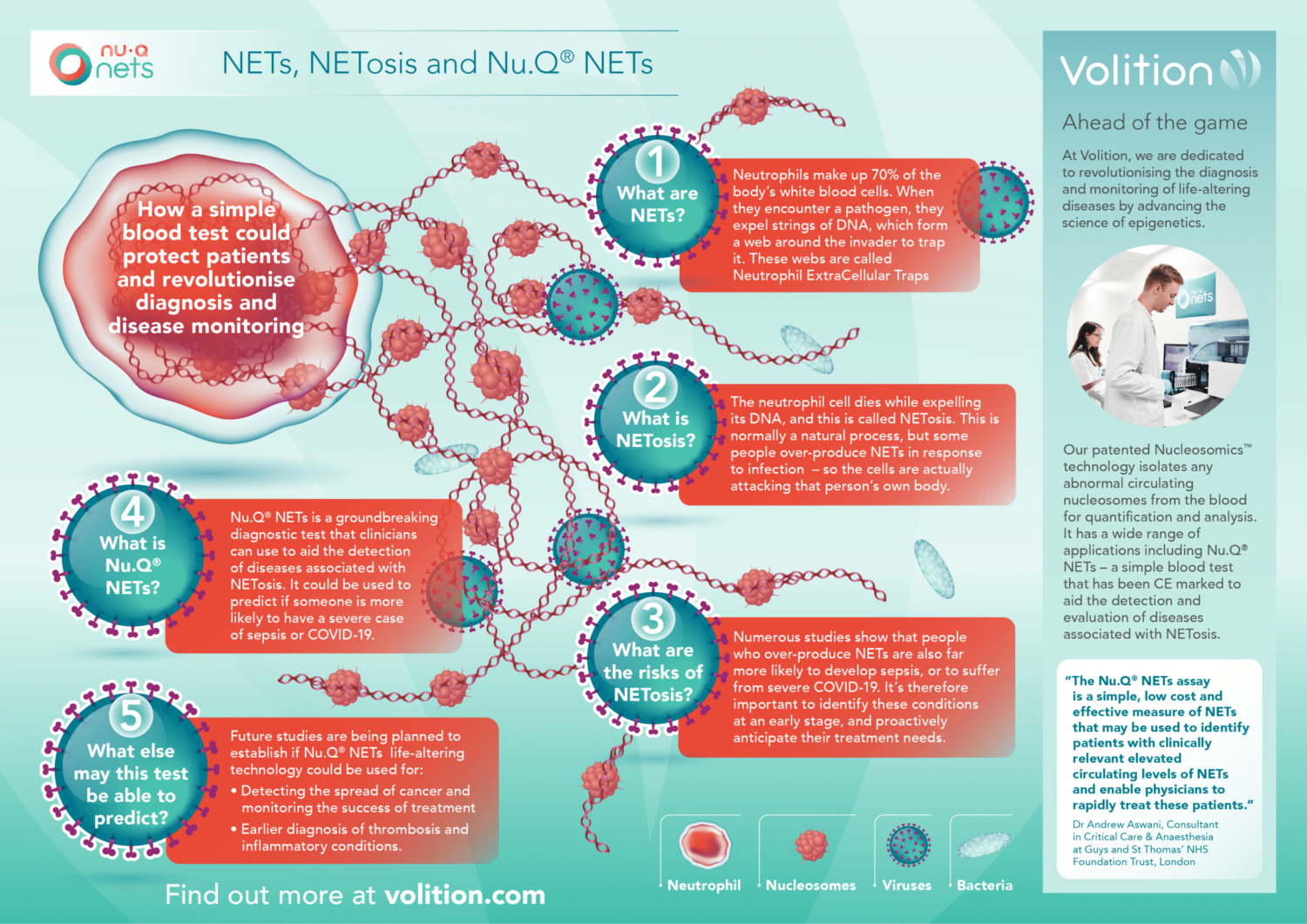 Learn about NETs, NETosis and Nu.Q® NETs. - Volition