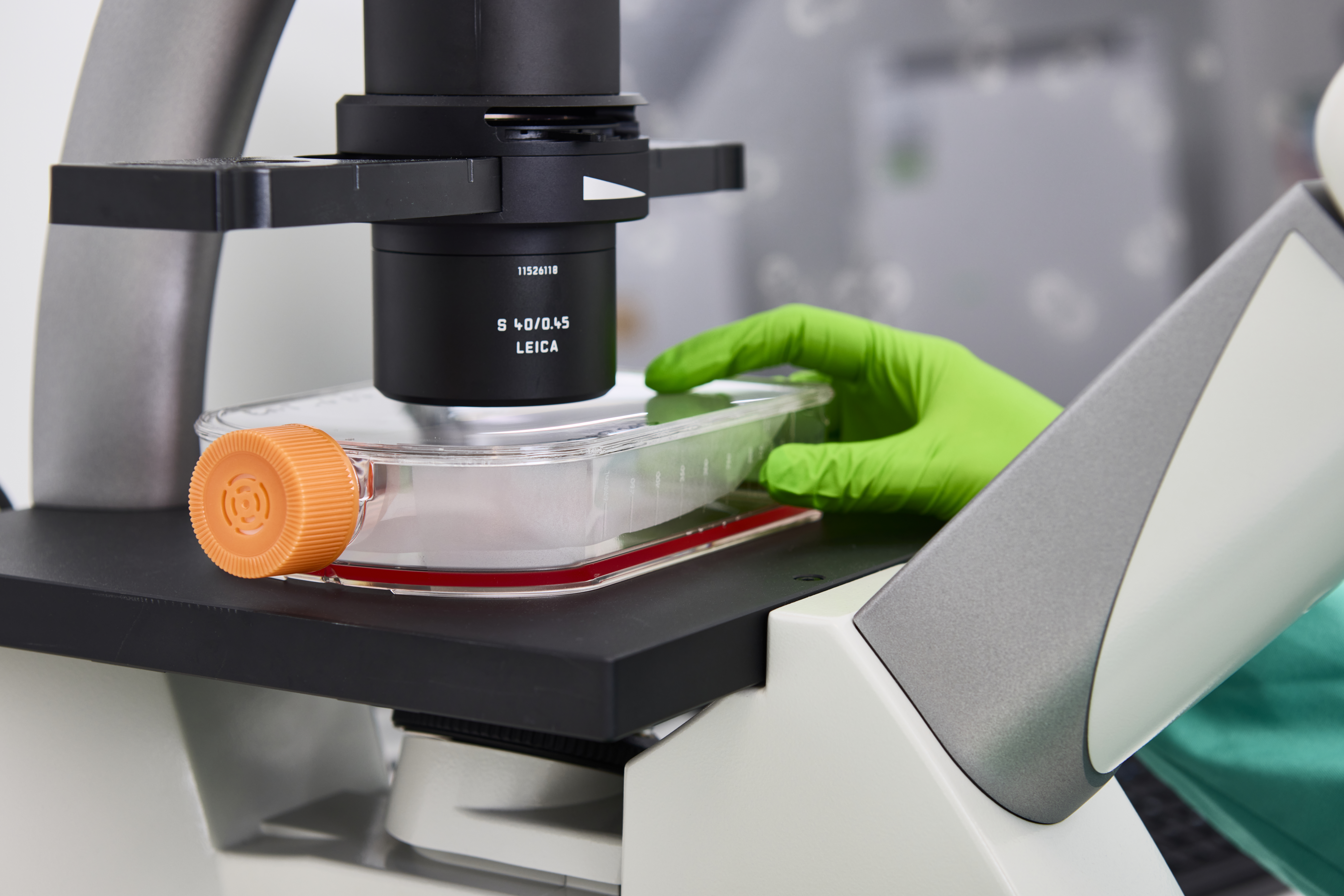 Volition Belgium, October 2023.