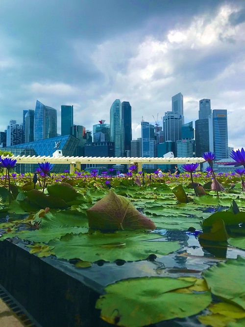 singapore-4777004_1280