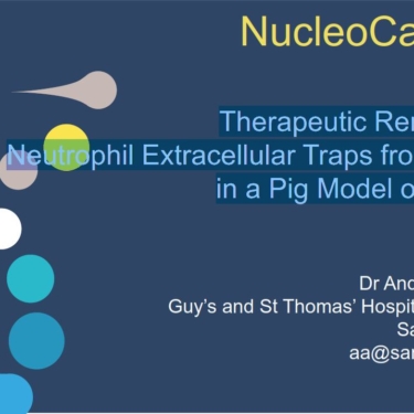 Nucleocapture presentation E-ISFA 21 thumbnail