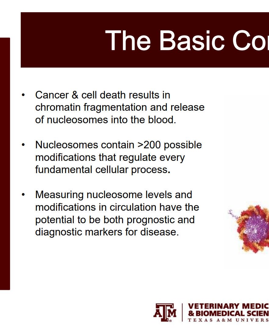 Screenshot 2024-02-16 153020