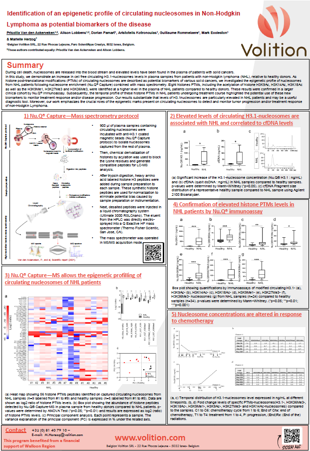 Screenshot 2024-02-29 160250