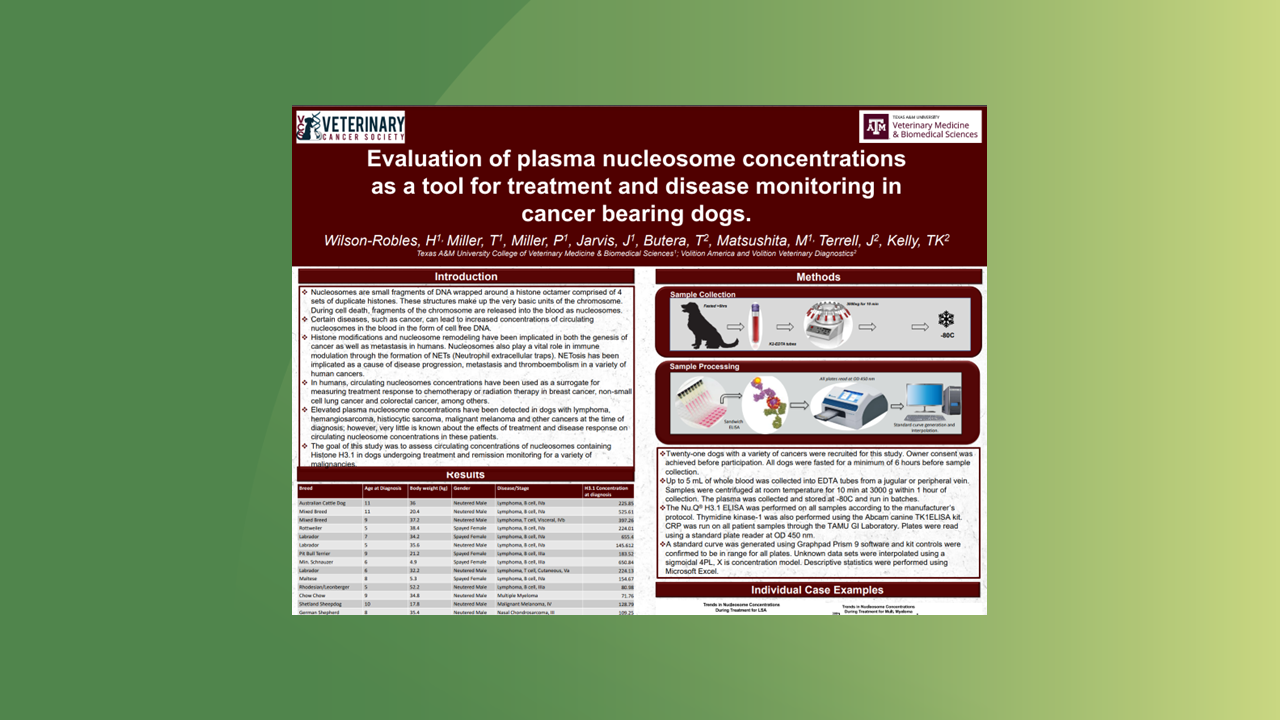 vet template for publications