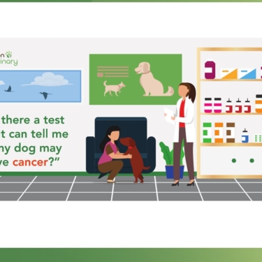 A screenshot from Volition's Pet Parents outlining the value of canine cancer screening for early cancer detection in dogs and the Nu.Q® Vet Cancer Test.