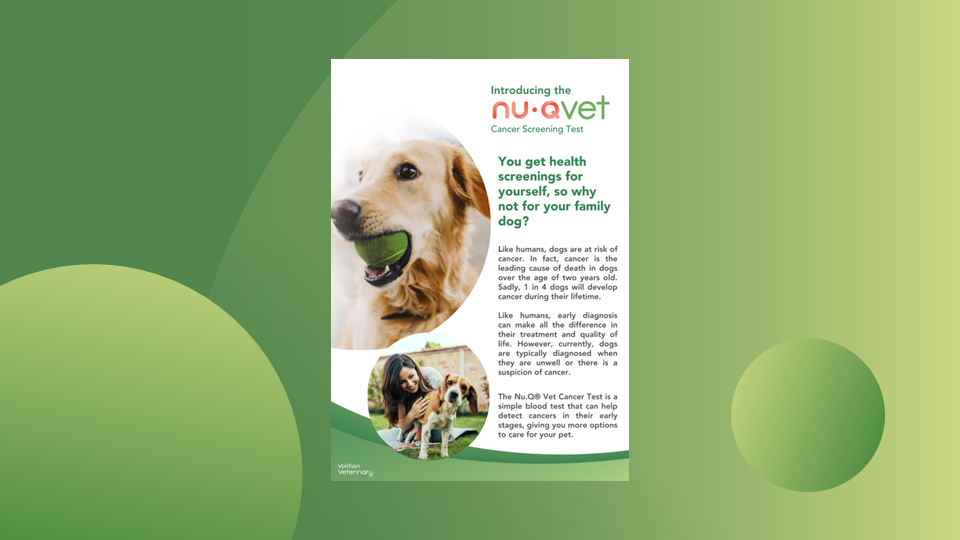 Thumbnails for website