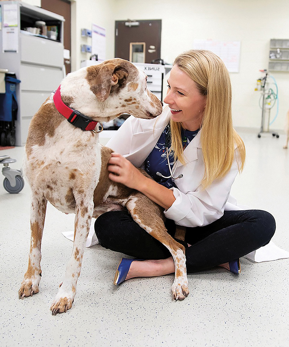 Heather_Wilson_Robles & Otis