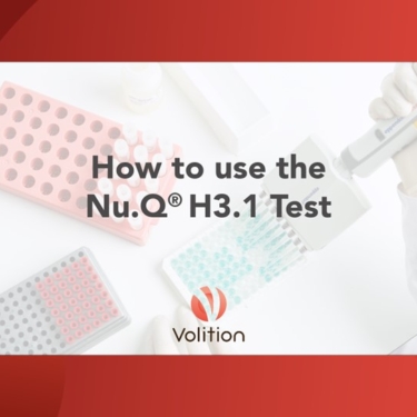 How to use the H3.1 test video featured image