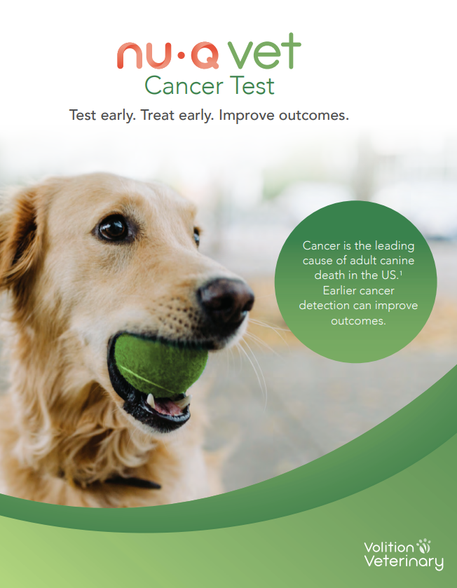 Screenshot 2025-04-03 153841