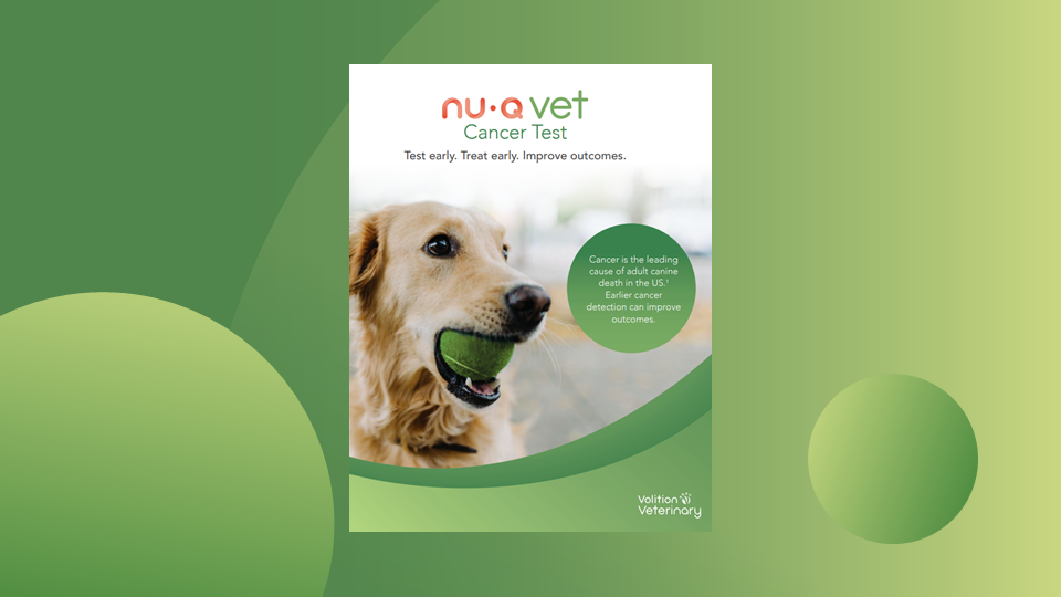 Thumbnails for website