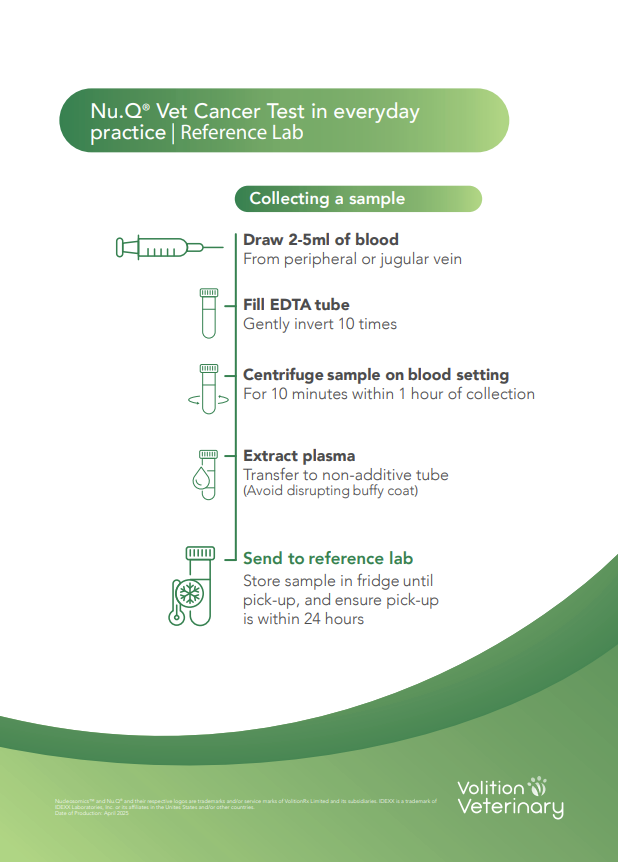 Screenshot 2025-07-16 150626