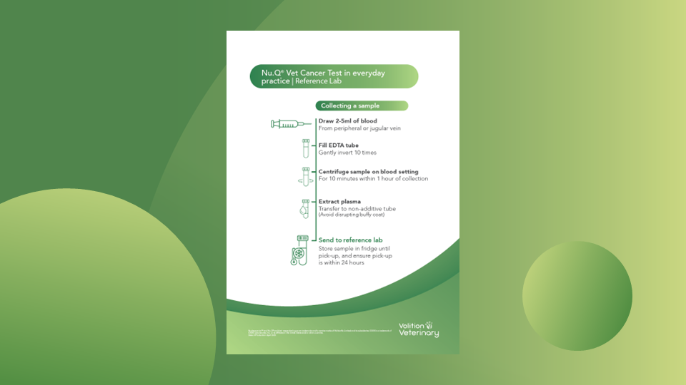 Thumbnails for website