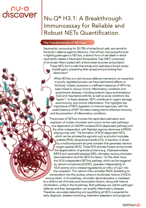 Screenshot 2025-07-07 141127