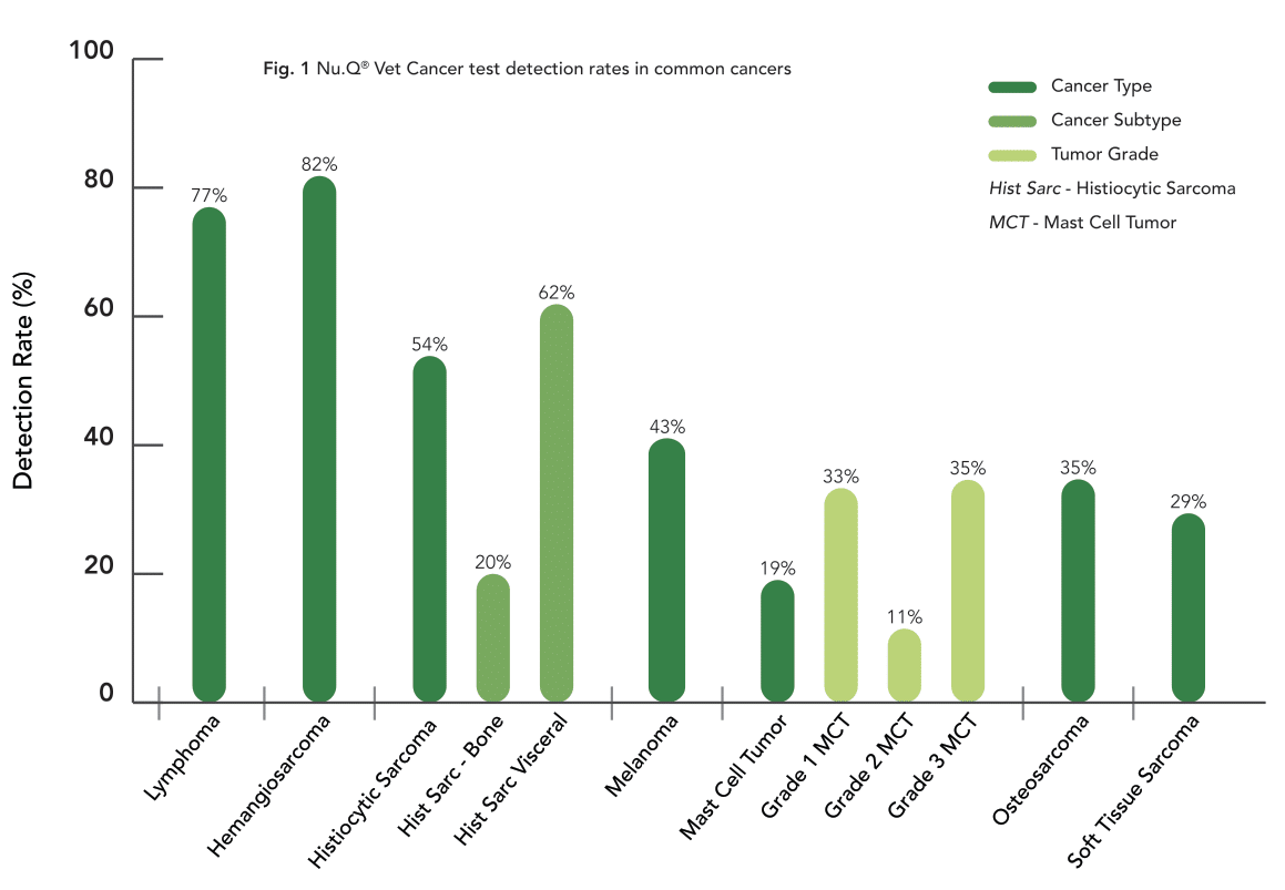 cancer types graph