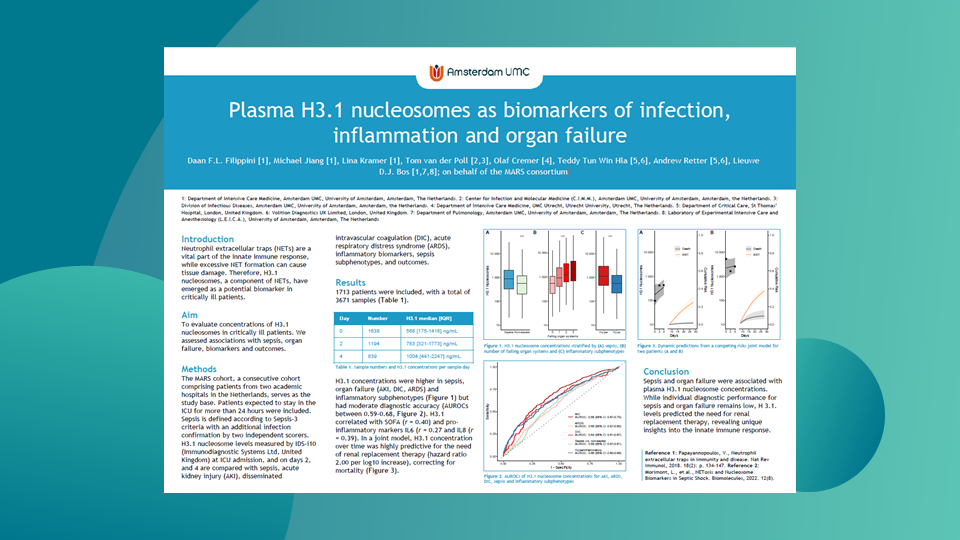 Thumbnails for website