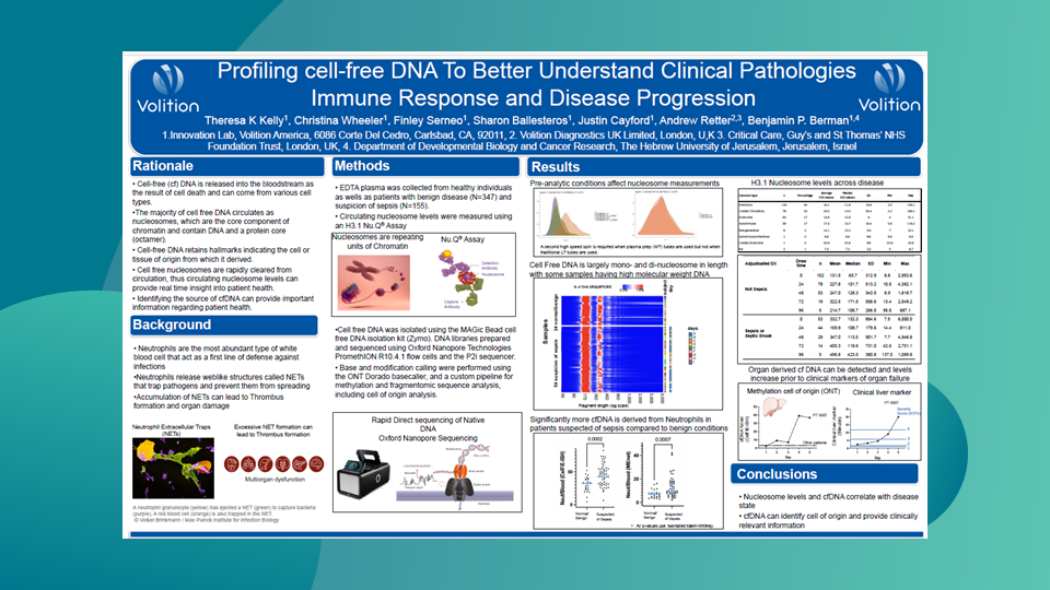 Thumbnails for website