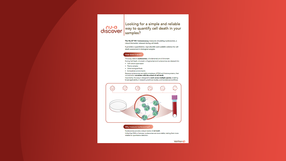 PPT thumbnails