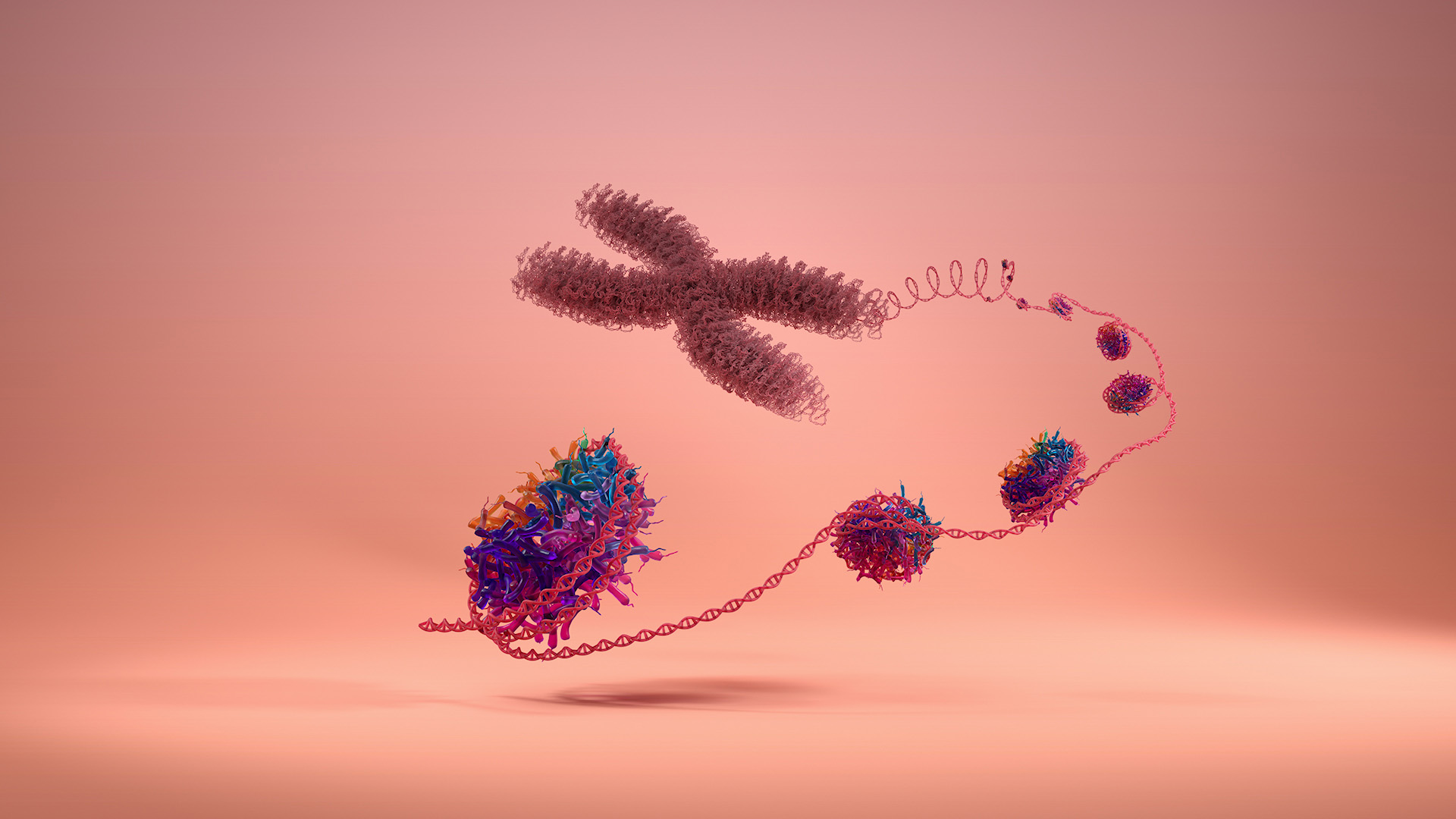 Volition_Nucleosome_Illustration